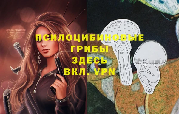 дмт Бронницы
