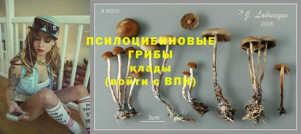 дмт Бронницы