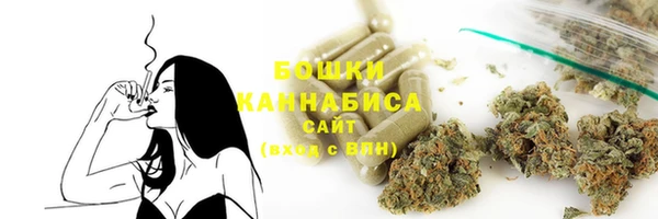 ПСИЛОЦИБИНОВЫЕ ГРИБЫ Богданович