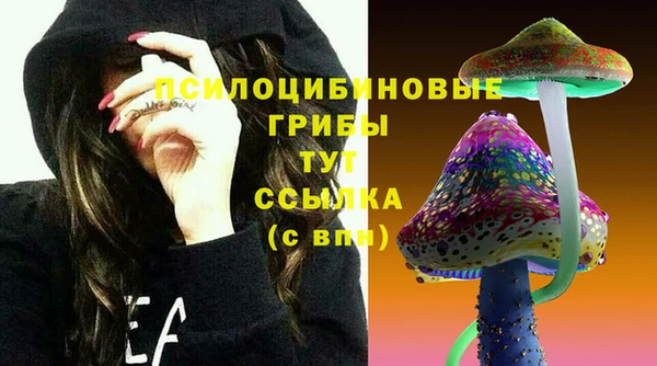 Альфа ПВП Богородицк