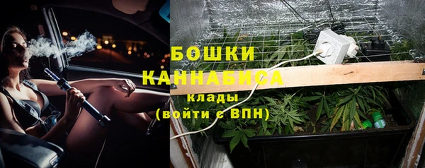 МДМА Бородино