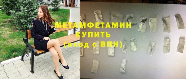 ПСИЛОЦИБИНОВЫЕ ГРИБЫ Богданович