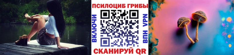 Псилоцибиновые грибы мухоморы Казань